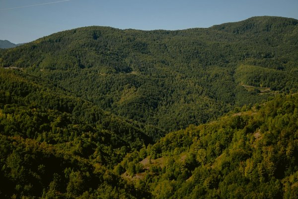 Découvrir les meilleures opportunités immobilières à neauphle-le-château