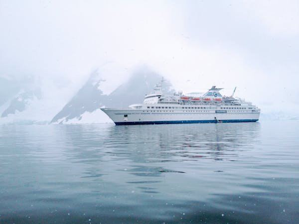 Découvrez les croisières en Antarctique : conseils et tarifs